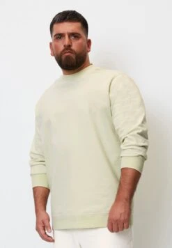 Marc O'Polo CREWNECK LOGO EMBROIDER AT CHEST RIBBED HEM AND CUFFS - Sweatshirt - Green Essence