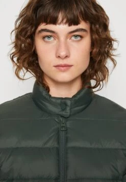 Marc O'Polo OUTDOOR JACKETS - Übergangsjacke - Pine Forest 11 Marc O'Polo OUTDOOR JACKETS - Übergangsjacke - Pine Forest -Mode Familie aa0aabccd16f464da5041fc7953f1e4f